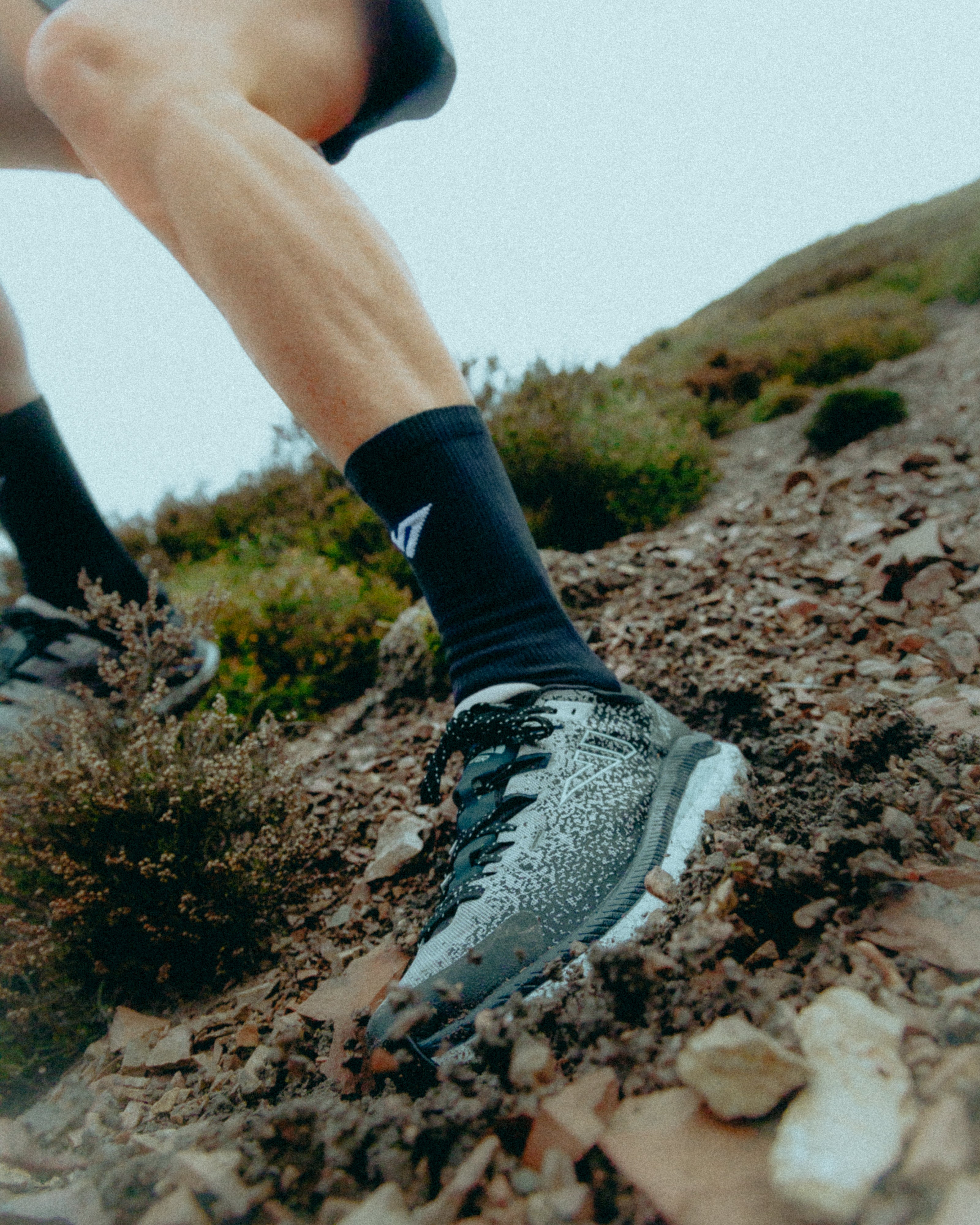 Black Wolf Merino Winter Socks