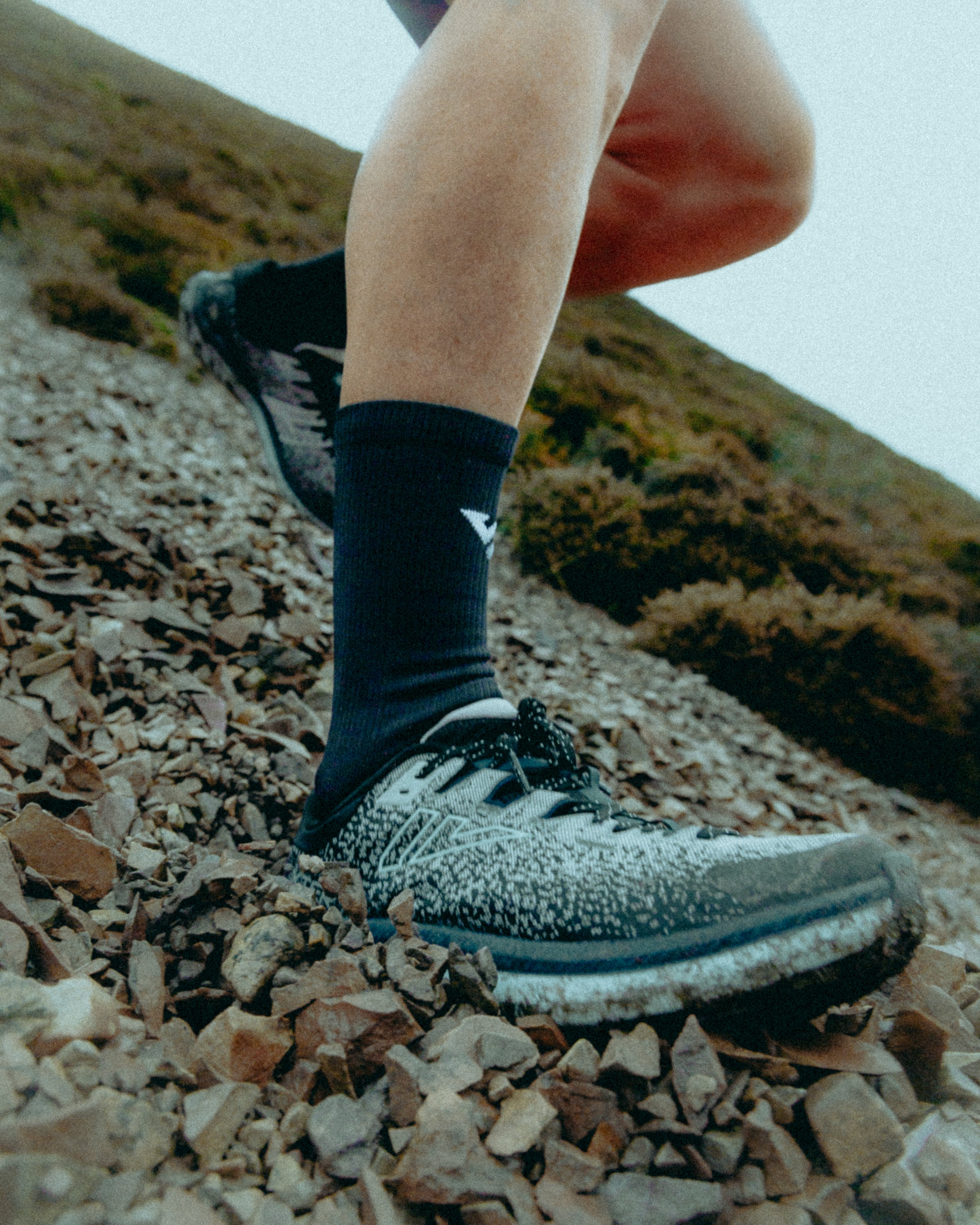 Black Wolf Merino Winter Socks