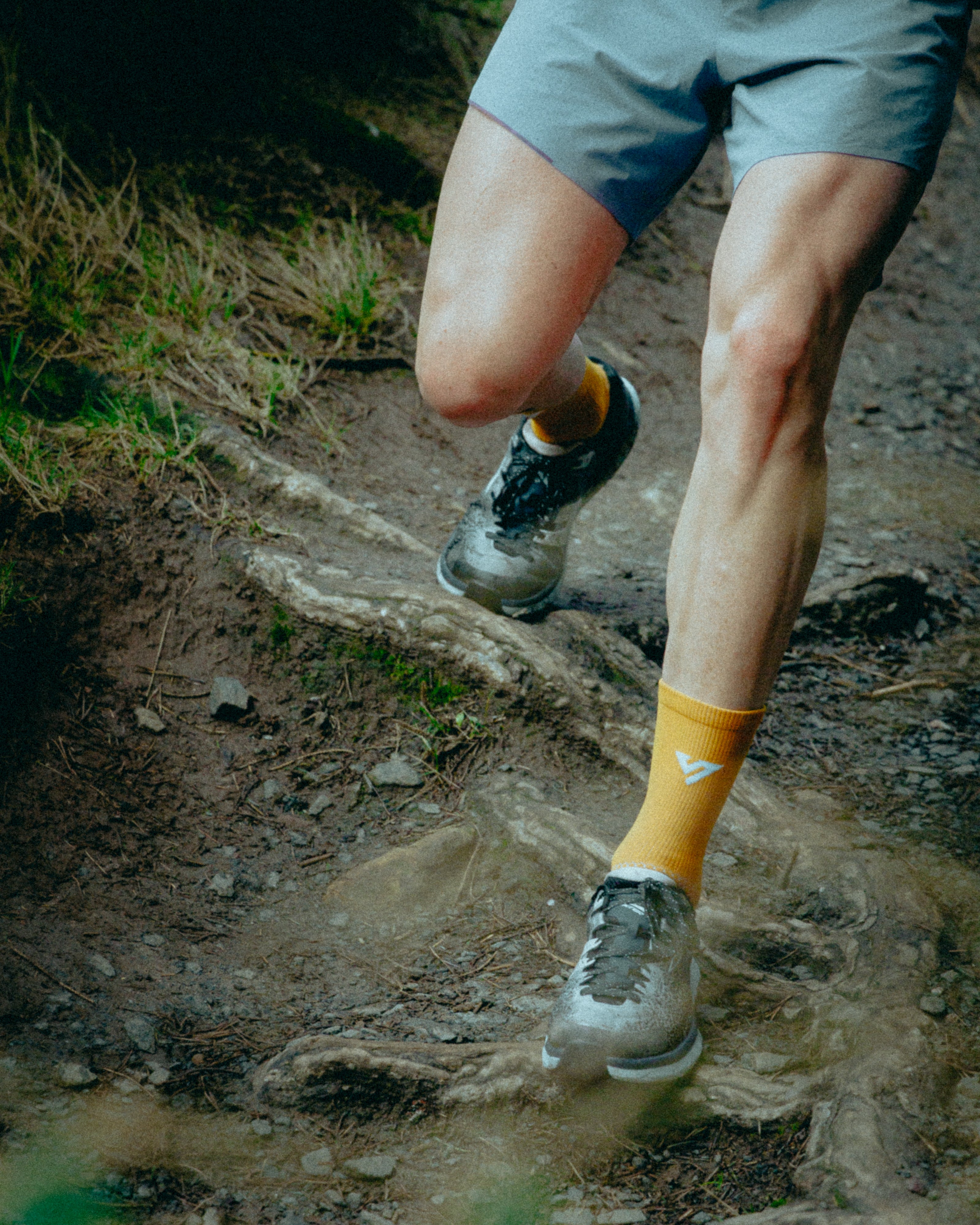 Honey Blaze Merino Winter Socks