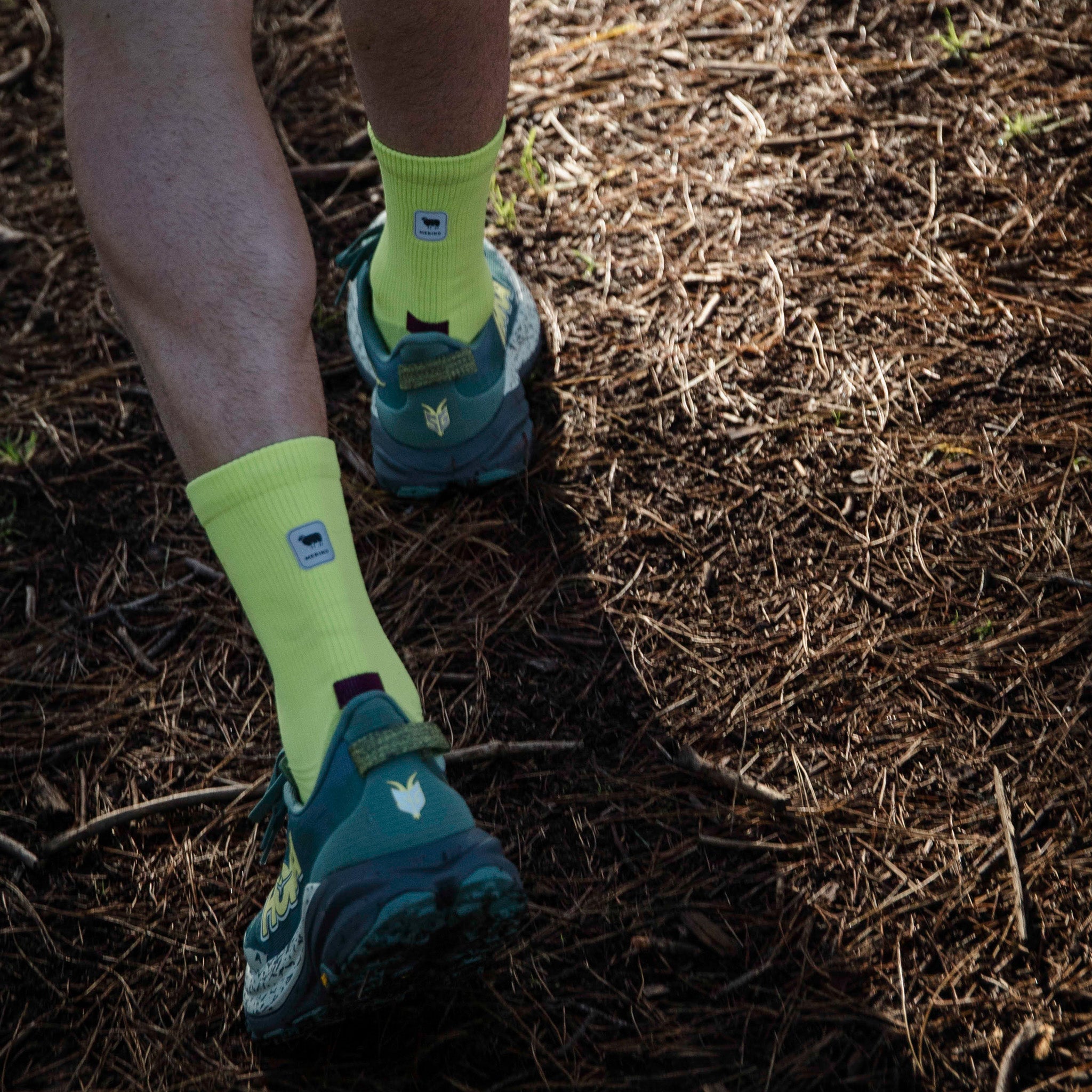 Bright Lime Merino Winter Socks
