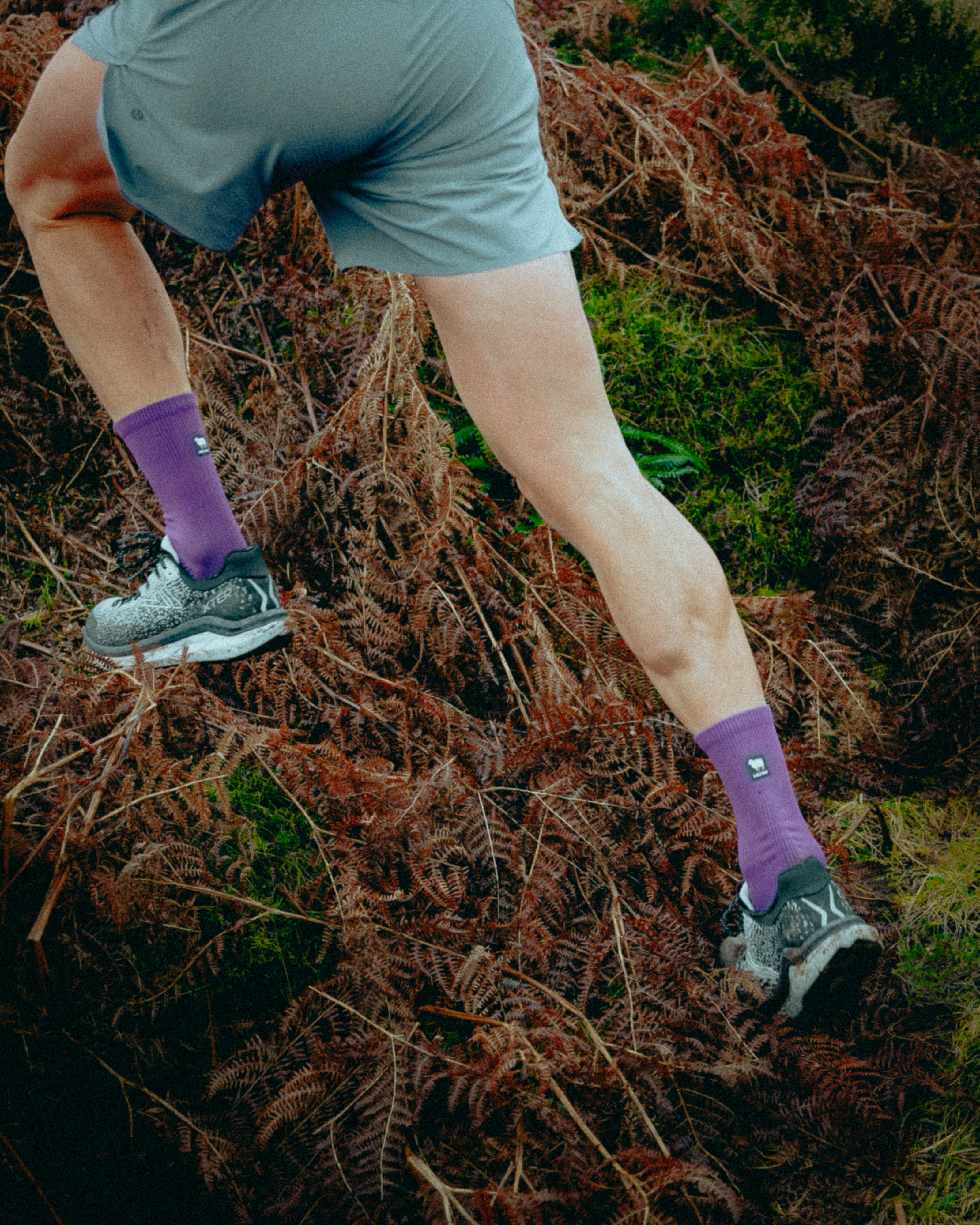 Winter Berry Merino Winter Socks