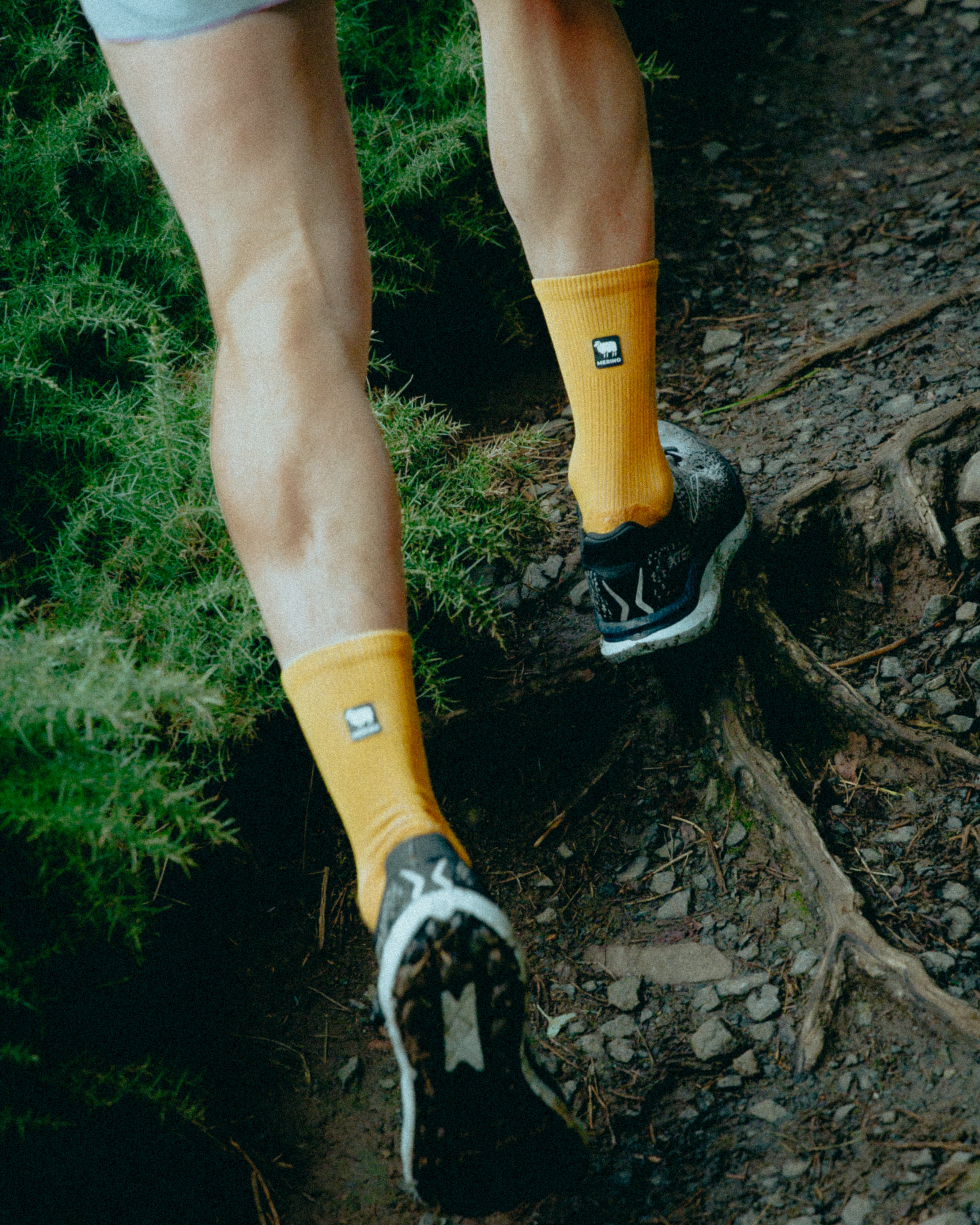 Honey Blaze Merino Winter Socks