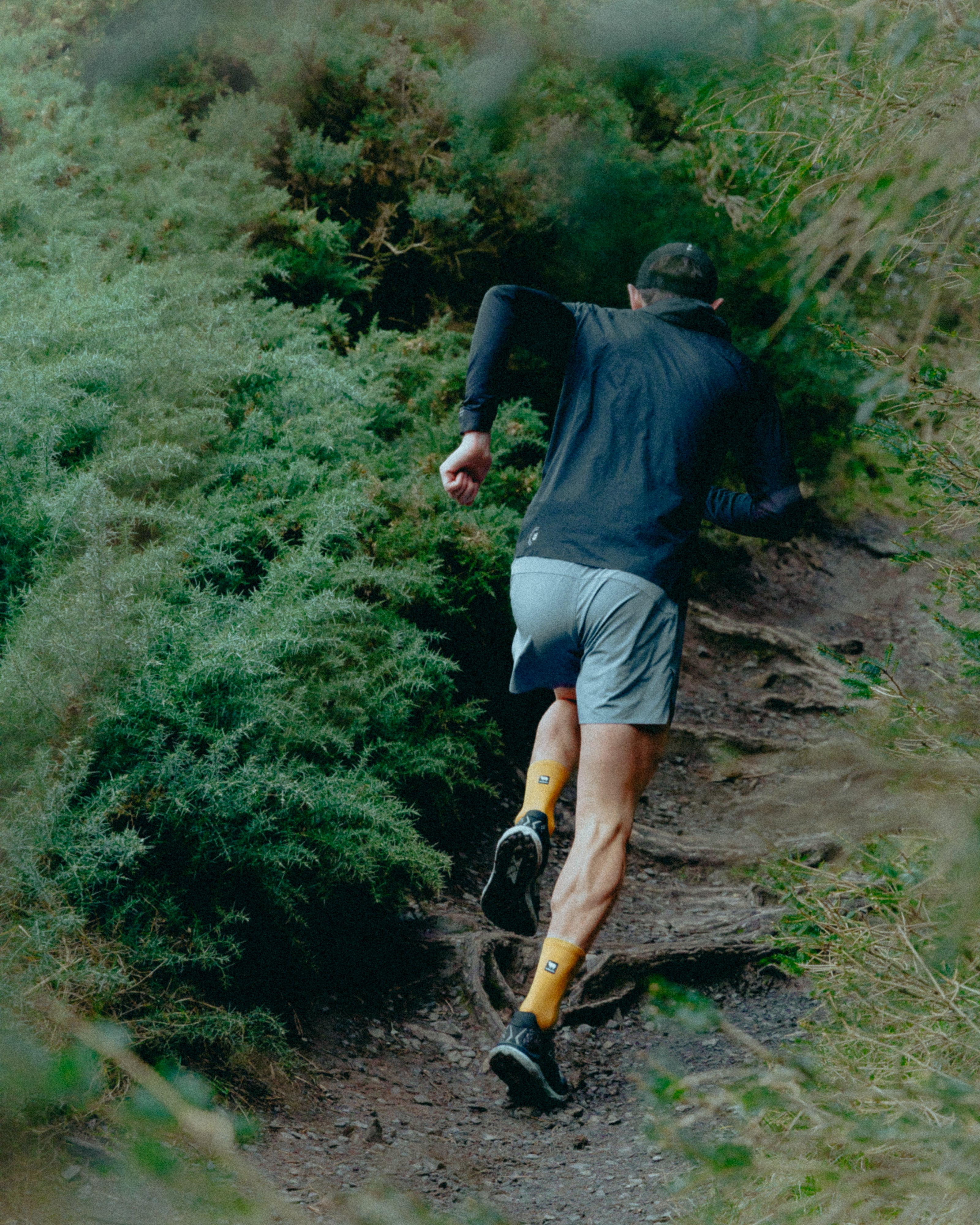 Honey Blaze Merino Winter Socks