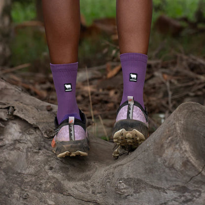 Winter Berry Merino Winter Socks