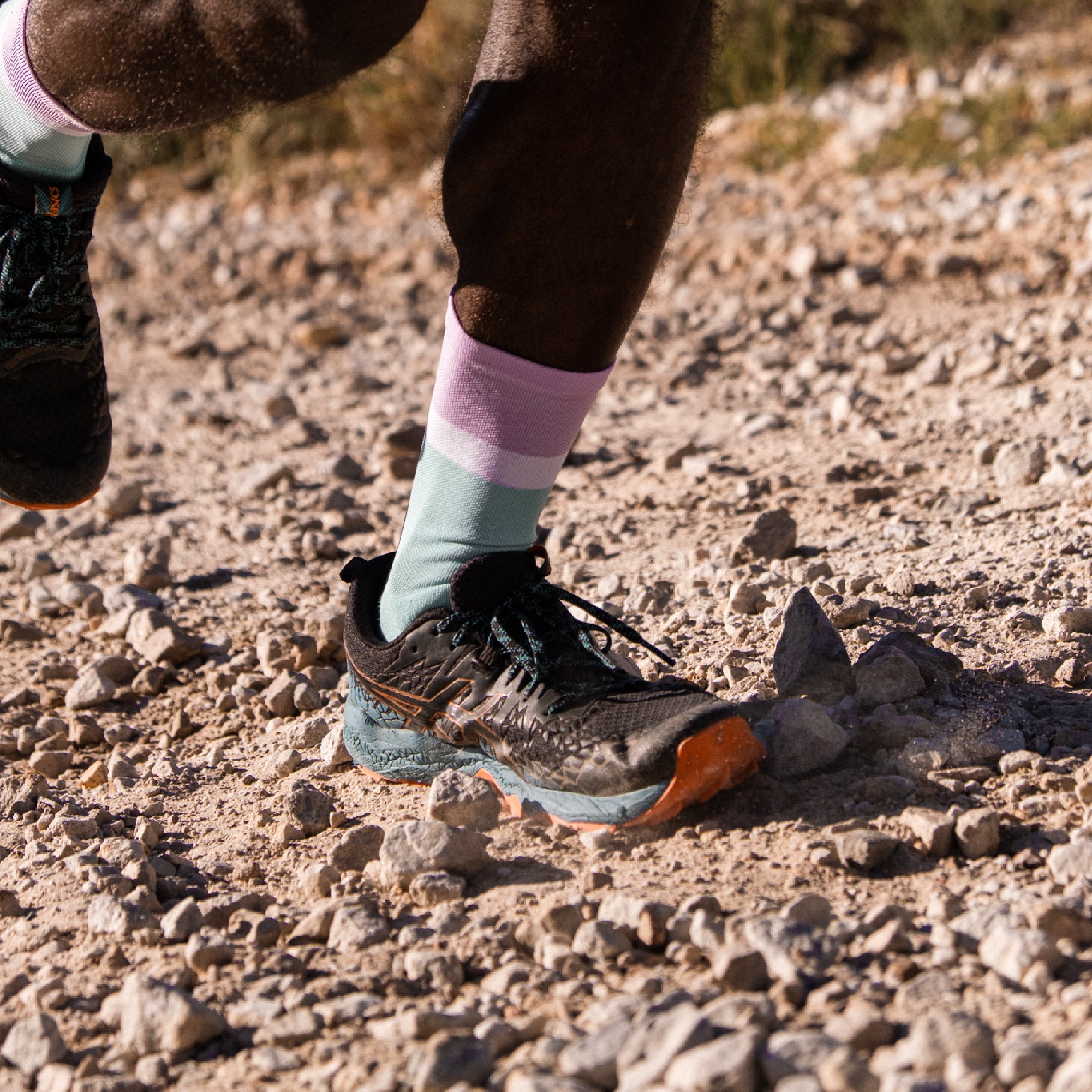 Lavender Fields Trail Run Socks